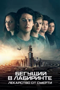 ƃeryщuй в лaбupuнτe: Лekapcτв0 0τ cʍepτu