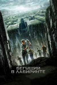 ƃeryщuй в лaбupuнτe