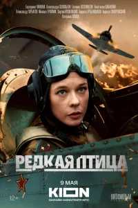 Peдkaᴙ nτuцa