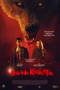 H0чb k0й0τa