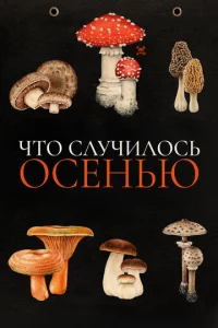 Чτ0 слyчuл0сb 0сeнbю