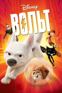 B0лbτ
