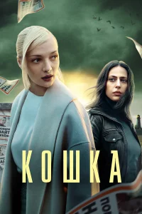 K0шka